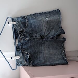 Everlane ridgid way high short